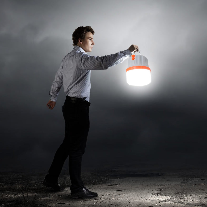 Portable LED Light